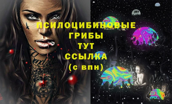 соль ск Белоозёрский